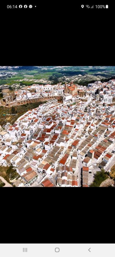 Agriturismo Terranova 피스티치 외부 사진