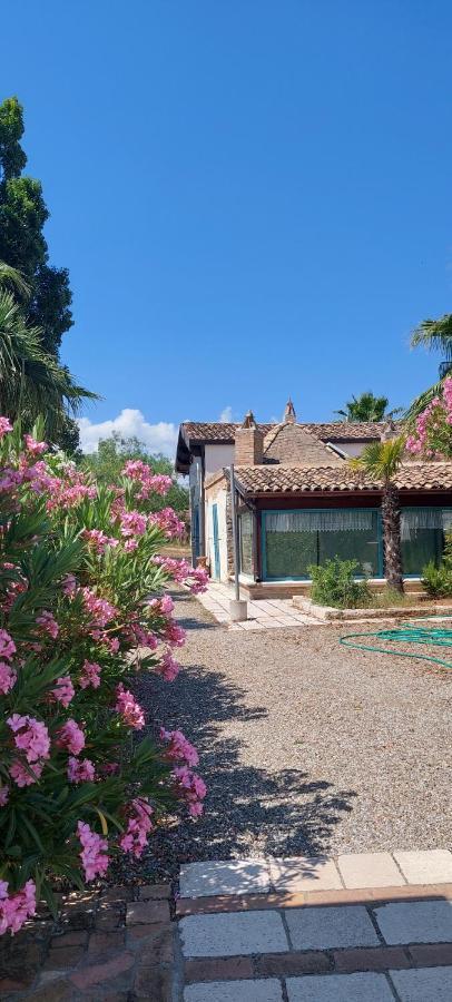 Agriturismo Terranova 피스티치 외부 사진