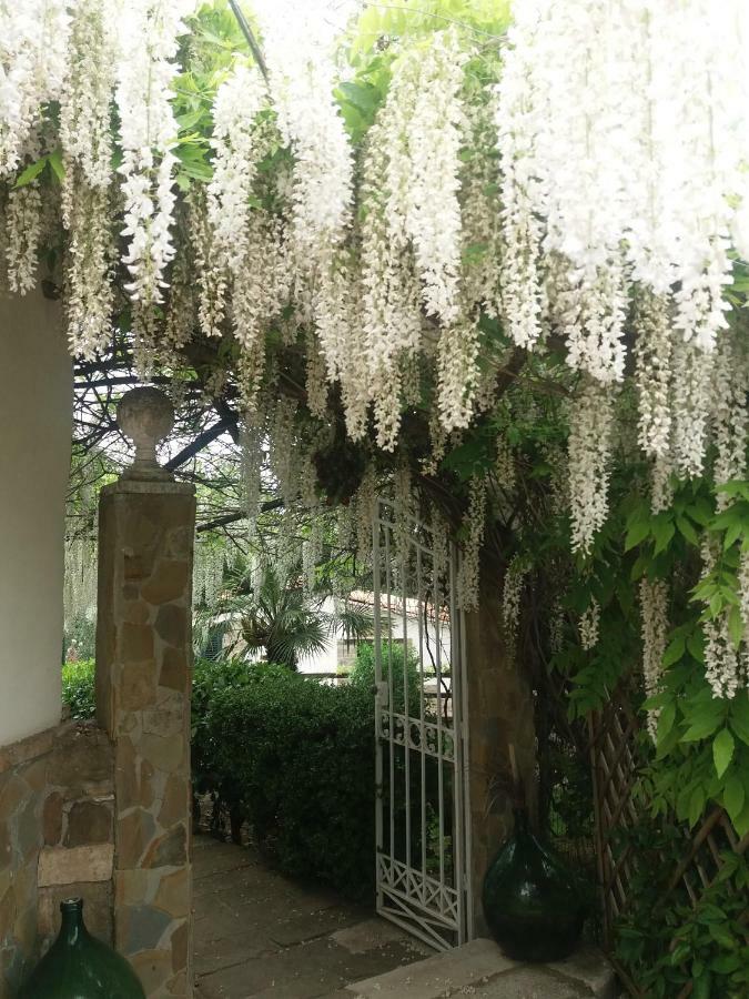 Agriturismo Terranova 피스티치 외부 사진
